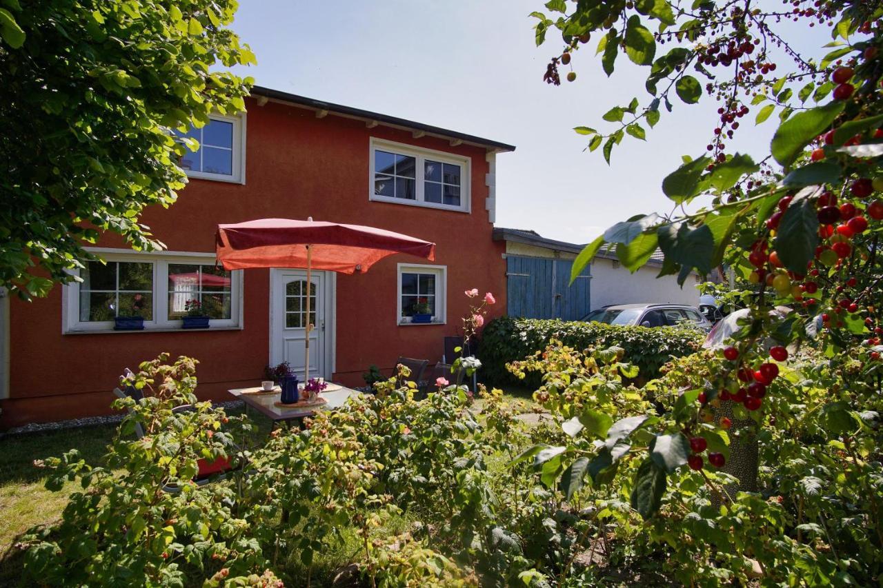 Zentral Aber Ruhig, Terrasse Mit Viel Gruen - Strandnahes Ferienhaus Luki ゲーレン エクステリア 写真